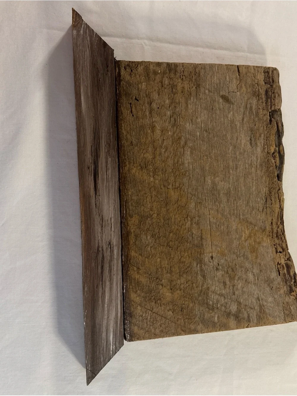 Diane Thorne “Rats” Distressed Art - wood stand burlap